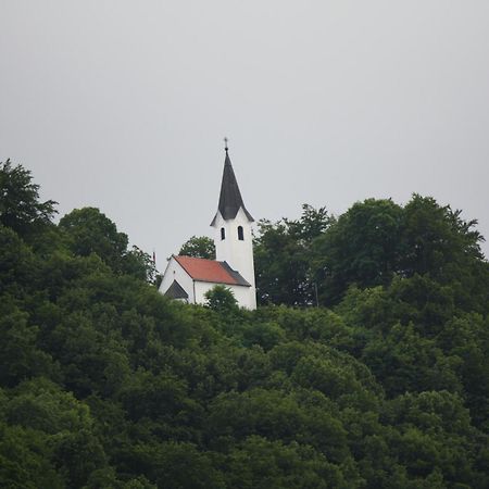 Guesthouse Ob Sotocju Budic Brezice Exterior photo